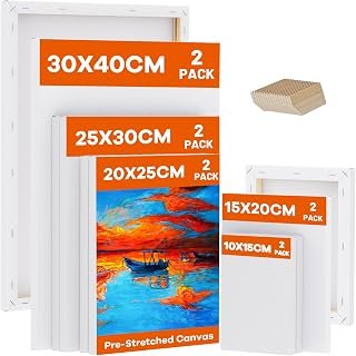 Koncci Stretched Canvas for Painting, 30x40, 25x30, 20x25, 15x20, 10x15