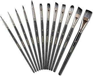 12Pcs Artists Paint Brushes Set for Acrylic Model Face Painting