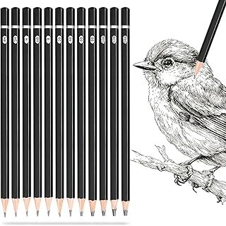 SAYEEC Professional Drawing Sketching Pencil Set, 12 Pieces Graphite Pencils (14B-4H), Art Sketch Pencils with Metal Case Artist Pencil for Drawing Art, Sketching, Shading, Adults Beginners (Black)