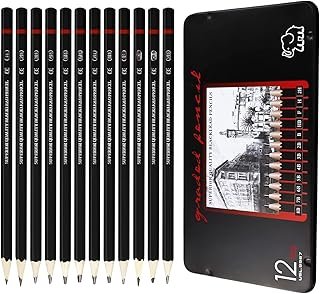12 Pcs Graphite Pencils Set,Drawing Sketch Pencil Set,Art Set for Adults,Beginner,Profession Sketch Pen,8B,7B,6B,5B,4B,3B,2B,B,HB,F,H,2H
