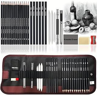 29-Pack Sketch Drawing Pencils Kit Sketching Supplies,Include Charcoal Pencils and Artists Tools,Pro Art Drawing Supplies for Adults,ideal for Sketching Shading