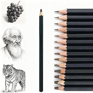 14pcs Artist Sketching Graphite Pencils Set | 12B-6H Full Hardness Range (12B,10B,8B,7B,6B,5B,4B,3B,2B,B,HB,2H,4H,6H) | For Adults, Artists, Students & Beginners