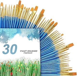 3 Pack Paint Brush Set, 30 pcs Nylon Hair Brushes for Acrylic Oil Watercolor Painting Artist Professional Painting Kits
